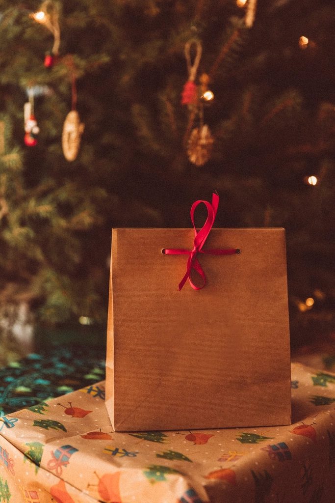 Blue Reusable Gift Bag, Self Closing